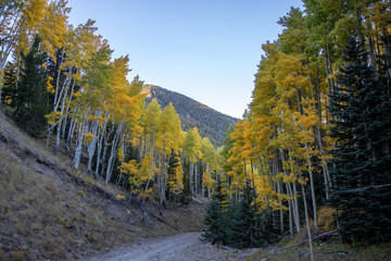Lockett Meadow