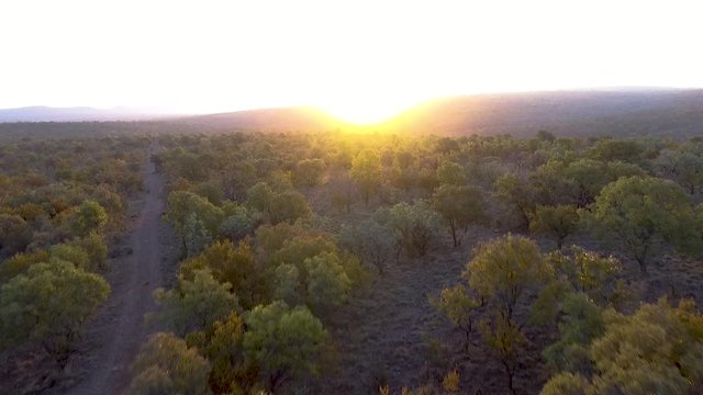 Birds view flying over trees into the sunset with beautiful mountains in the back
