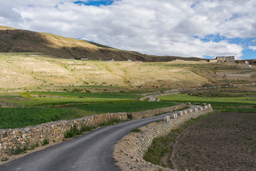 Farming in Kibber,Spiti Valley,Himachal Pradesh,India
