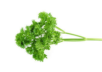 Parsley isolated on white background