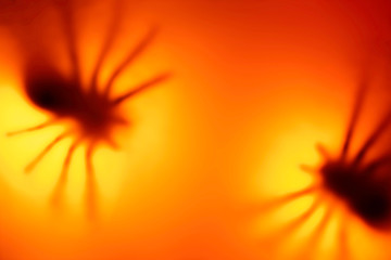 Halloween themed defocused backdrop with huge blurred spiders.