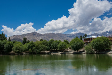 Fototapeta na wymiar Greenery around Nako Lake ,Spiti Valley,Himachal Pradesh,India
