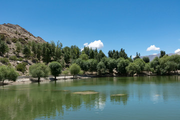 Greenery around Nako Lake ,Spiti Valley,Himachal Pradesh,India