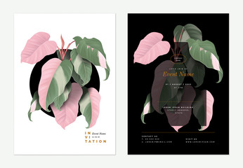 Event invitation card template design, Philodendron pink princess plant decorated on black © momosama