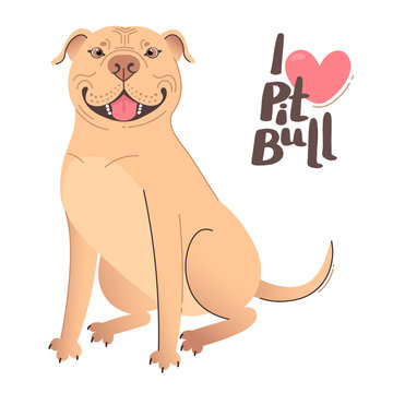 Buckskin brown beige pit bull terrier. I love pitbull. Vector illustration