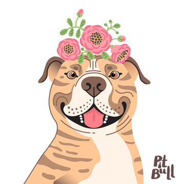 Happy American Staffordshire Pit Bull Terrier. Best friend - Pit Bull dog and wreath of flowers in the style of cartoon. Vector illustration