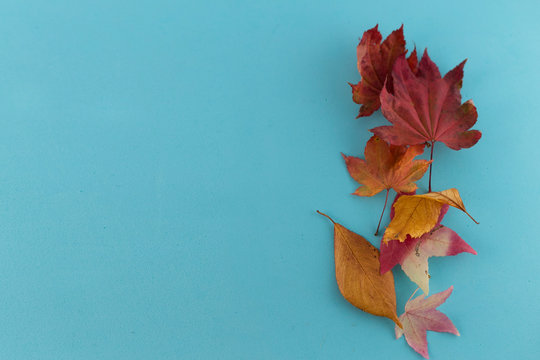 Autumn composition. Autumn leaves on blue background. Flat lay, top view, copy space.