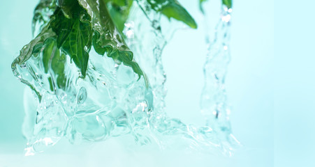 Water jets flowing from the green fresh leaves of mint.
