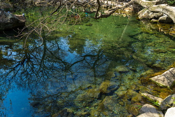 Image of an artificial lake in the park.