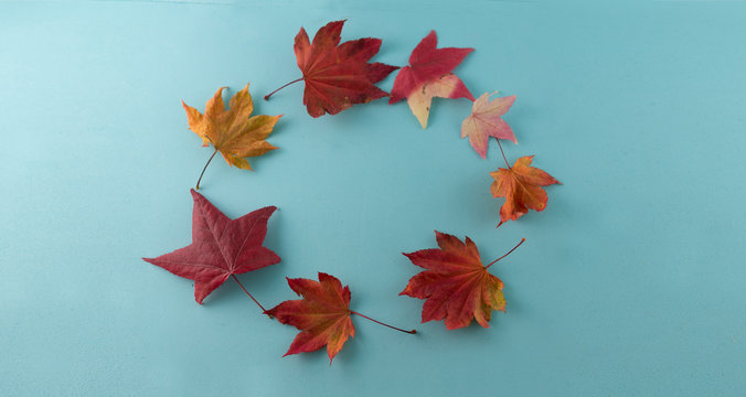 Autumn composition. Autumn meaple leaves making circle on blue background. Flat lay, top view, copy space.
