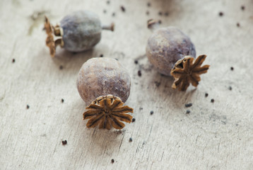Poppy box with seeds