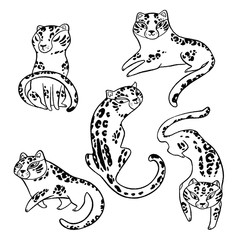 Collection of leopards in contour style. Hand drawn cartoon illustration