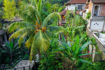 Fototapeta na wymiar Houses in jungle, Ubud, Bali, Indonesia