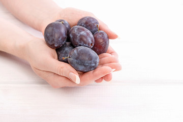 Woman holds ripe plums in her hands.