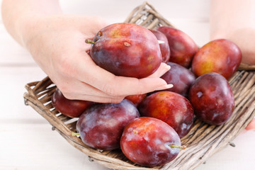 Woman holds ripe plums in her hands. 