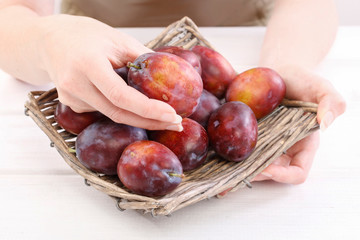 Woman holds ripe plums in her hands. 