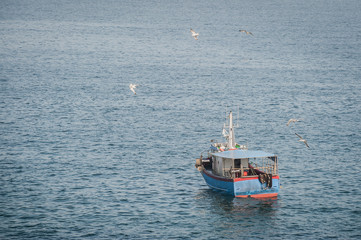 Small fishing boat with seagulls