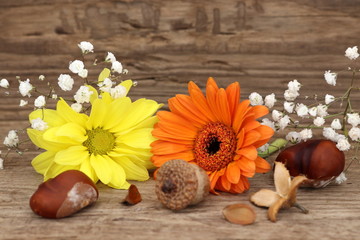 Hintergrund Herbst - Blumen und Früchte auf rustikalem Holz
