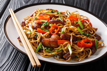 Hot fried chow mein with pork, pepper, cabbage, onions and carrots closeup on a plate. horizontal