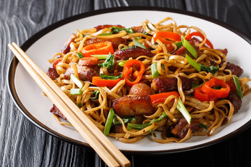 Chow mein noodles with pork, pepper, cabbage, onions and carrots close-up on a plate. horizontal