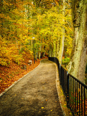 Fototapeta na wymiar Bridge in autumn park