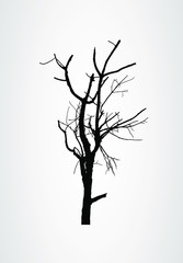 vector black silhouette of dry tree without leafs. Single dead tree on a white background