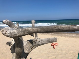 Fototapeta premium bench on the beach