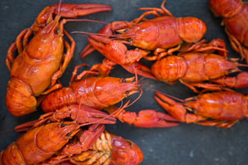Red boiled crawfishes on table in rustic style, closeup. Lobster closeup.