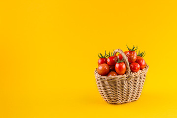 Basket with tomatoes on a yellow background