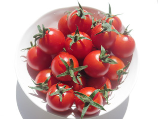 tomatoes in a bowl on white background