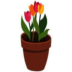 Beautiful Flower Pot - Cartoon Vector Image