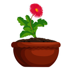 Flowering Plant in a Pot - Cartoon Vector Image