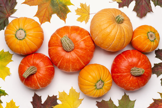 Ripe orange round pumpkins, dry leaves of Canadian maple. Autumn background. Studio shot.