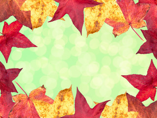 frame with autumn leaves and colorful background