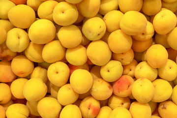 fresh apricot dried apricots on a counter