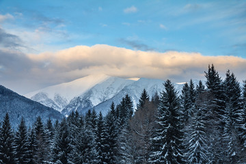 Winter landscape covered with snow in The Western Tatras mountain, Slovakia, Europe.