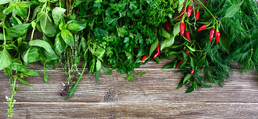 Organic green fresh herbs on a wooden background. Freshly picked parsley, basil, thyme, arugula, dill. Banner. Free space for an inscription.