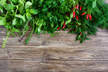 Organic green fresh herbs on a wooden background. Freshly picked parsley, basil, thyme, arugula, dill. Banner. Free space for an inscription.