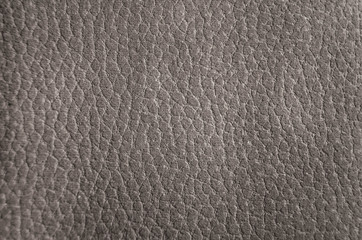 Textura de gamuza imitación piel de elefante