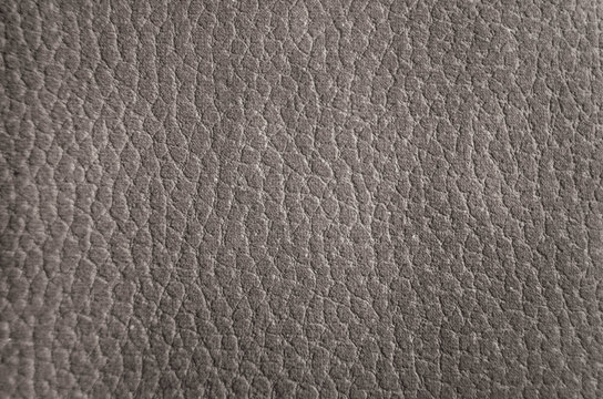 Textura de gamuza imitaci&oacute;n piel de elefante