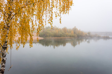 Fototapeta premium Tree with Fall Foliage at a Lake in Northern Europe