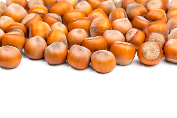 Hazelnuts isolated on white background - Image