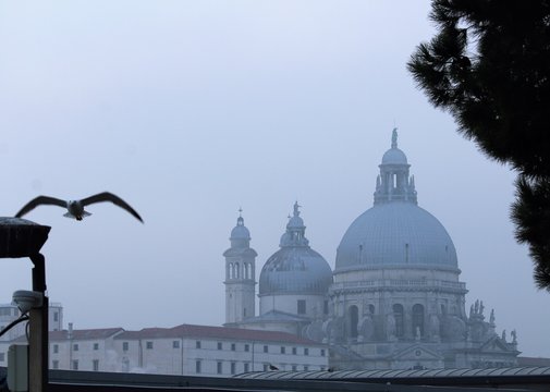 Venice, Italy, December 28, 2018 evocative image of a Venice canal with dome in the background and flying seagull in the foreground