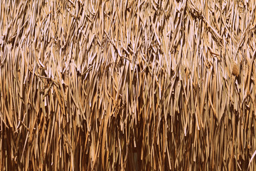 Palm roof texture close up. Retro style tropical background