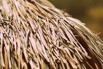 Palm roof texture close up. Retro style tropical background