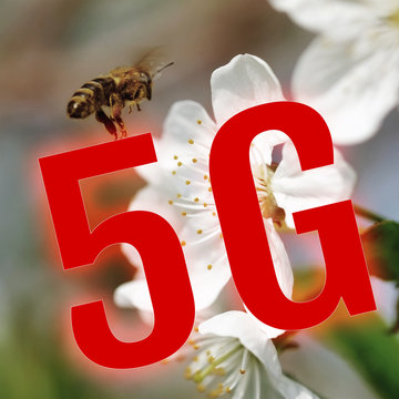 A Concept On The Impact Of The Fifth Generation Of “5G” Mobile Networks On Living Organisms. Wireless Technology, Benefit Or Harm