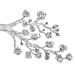 Hand drawn isolated sakura branch. Flower vector illustration in black outline and white plane on white background.