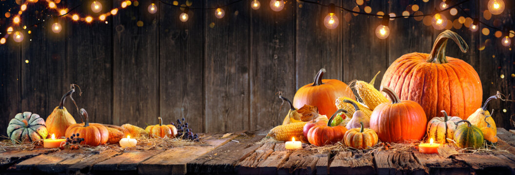 Thanksgiving - Pumpkins And Corncobs On Rustic Table