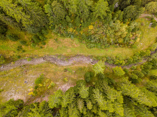 Aerial view of mud slide river bed in mountain forest in Switzerland.