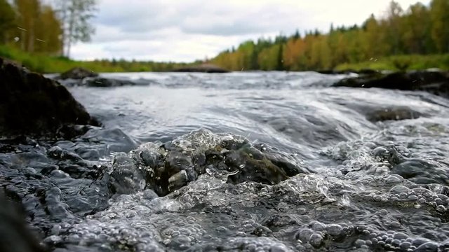 Mountain river water flowing close up with autumn forest at background